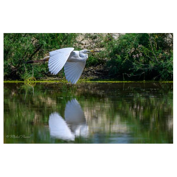 PHOTO84, CLUB, 84 , LUBERON